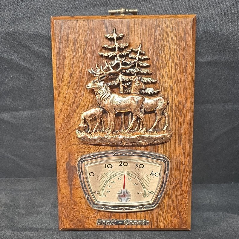 Vintage Canadian souvenir thermometer