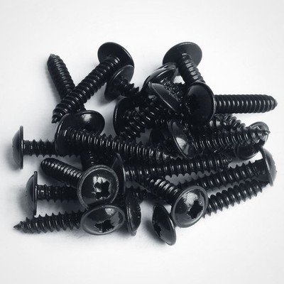 Schwarze Edelstahl Pozi Flansch Blechschraube