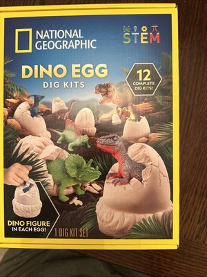 National Geographic Dino Eggs Dig Kit Set, Kids STEM Dinosaur Classroom Activity