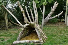 Photo 6x4 Raveningham Sculpture Trail 2020: Unspecified work 1 Brundish  c2020