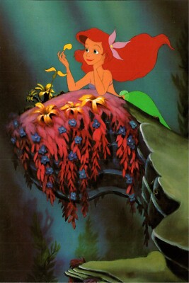 ウォルト・ディズニー　リトルマーメイド セリセル「He Loves me 」 TheLittleMermaid-HeLovesMe-