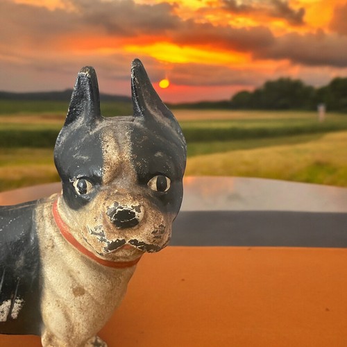 Vintage hubley Antique Cast Iron Boston Terrier Bull Dog Door Stop Hubley - Picture 6 of 8