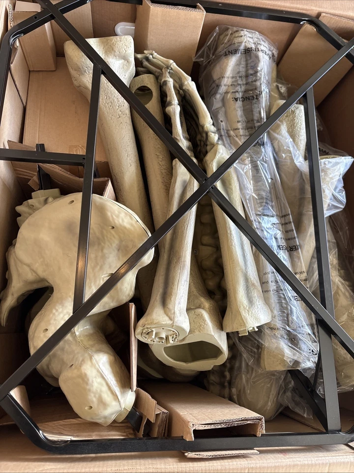 Skelly Esqueleto Tumba Huesos 12 Pies LCD Ojos Halloween Decoración con Luces LED Foto 3 de 4