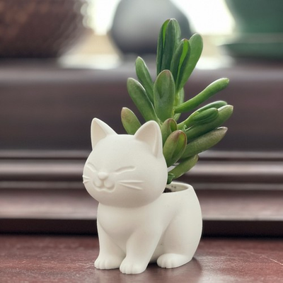 #ad #ad Succulent Planter Pot Cute Kitty Cat for Home Office Decor or Gift 3D Printed $4.98