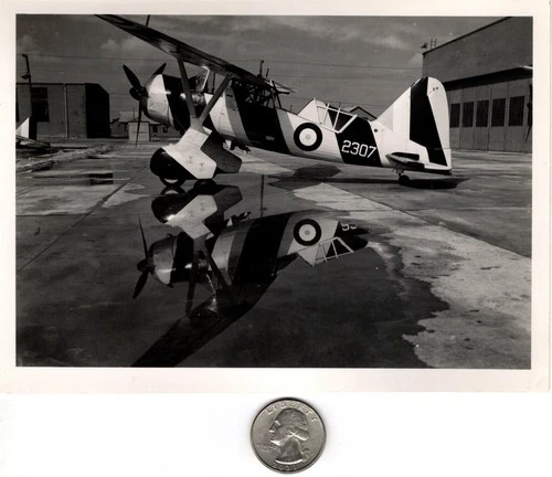 WW2 WWII RAF British Royal Air Force Military Press Photo Westland Lysander