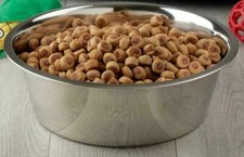 XX-Large Bowl Pet Dog Food  Water 18/10 Stainless Steel For Extra Large Dogs