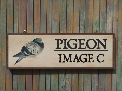 Handgefertigtes Bestellschild Taube Loftschild Eigenname Schild Taubenschild Eigenfotoschild - Bild 12 von 16