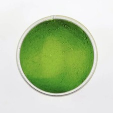 Matcha Powder Uji no Mukashi 30g