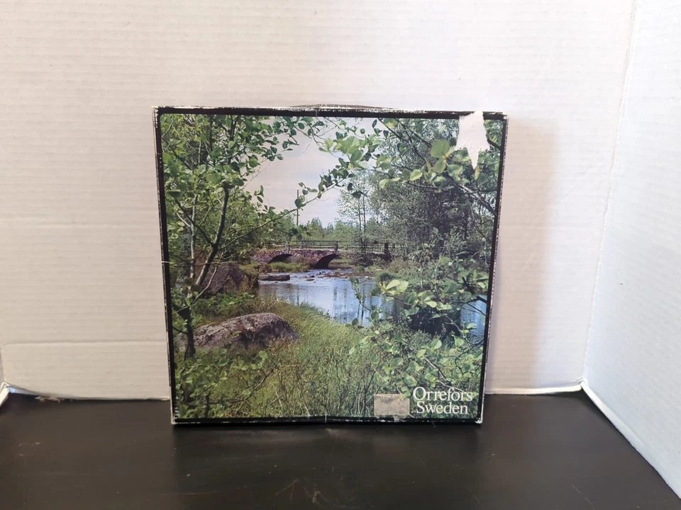 Orrefors Suecia "Eden" Plato de Vidrio Hoja Ovalado 10" Juego de 2 Sin astillas ni grietas Foto 4 de 4