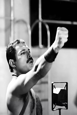 Freddie Mercury Queen On Stage 4x6 Print