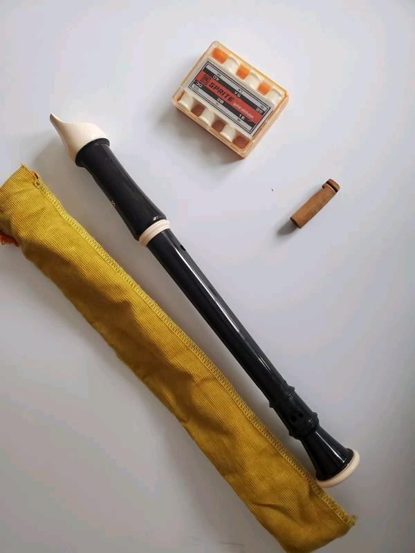 Recorder + case + tuning pipes + 5 booklets of music. Good condition.