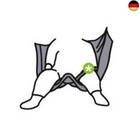 Bild 2 von 3