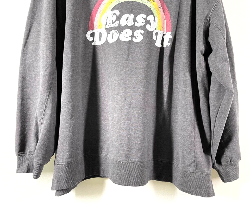 Sudadera holgada Wildfox gris arco iris declaración "EASY DOES IT" talla 2XL Foto 4 de 4