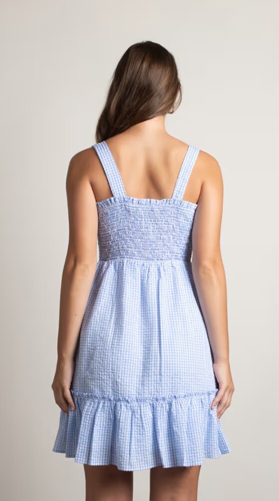 blue gingham babydoll dress Trim Mini Dress in Blue Flower Gingham