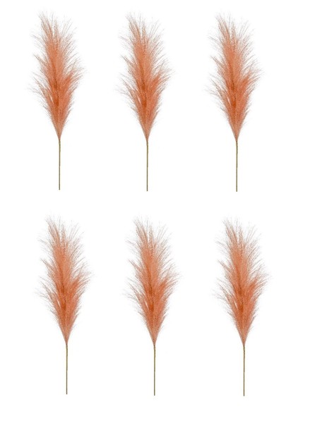 6Er Set KüNstliches Pampasgras Federzweig Orange H. 100Cm Emerald Kunstblumen-image