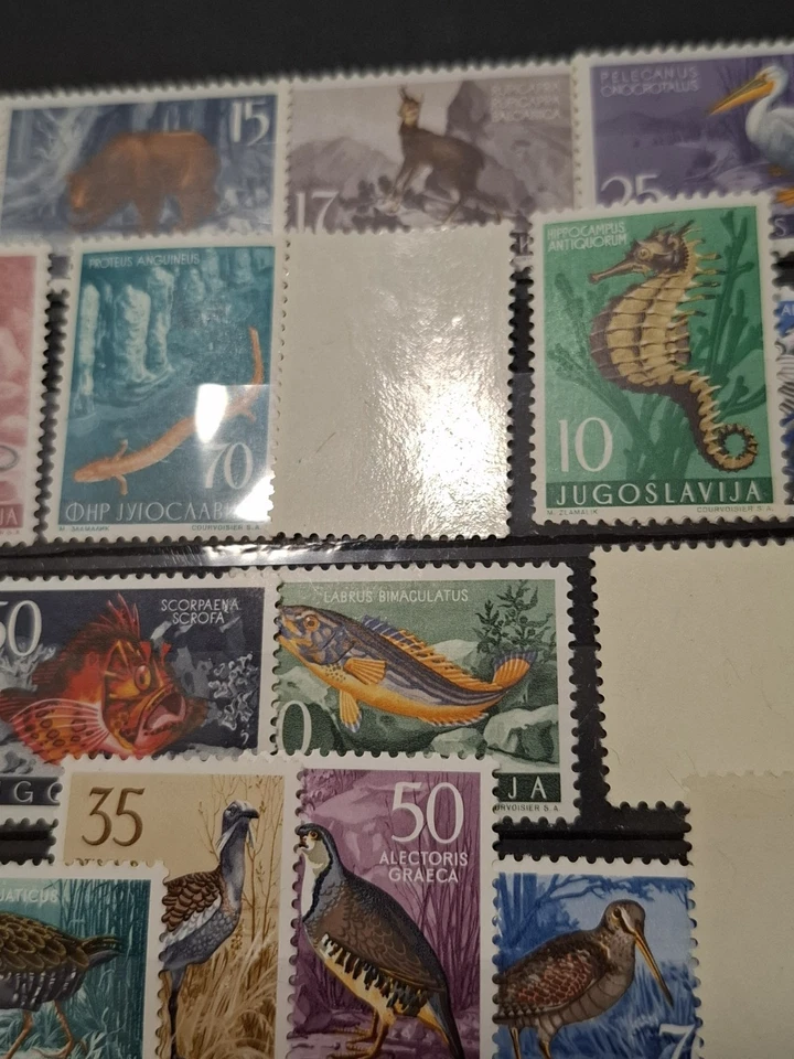 YUGOSLAVIA Fauna Peces Aves Insectos 1954-1956-1958...1997 ** 11 MNH Juegos c... - Imagen 4 de 4