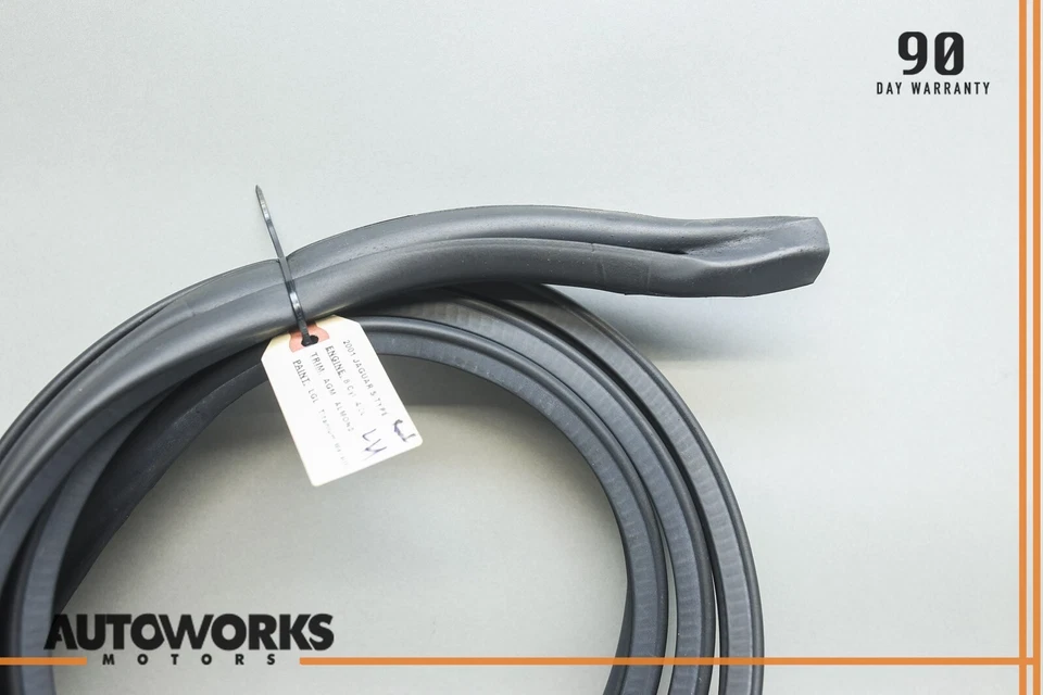 00-08 Jaguar S-Type X200 techo lado del conductor izquierdo resistente al clima sello de goma OEM Foto 2 de 4