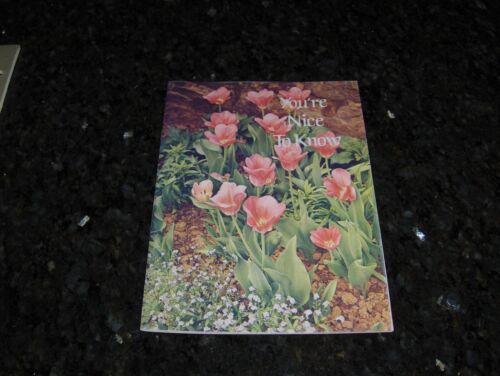 You're Nice to Know by Ideals a book of poems