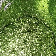 NEW 2 OZ. SEA FOAM GREEN Hi-Temp Glitter .030 Hex Fishing Lure Making plastisol