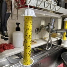 Mosquito and Fly Stick Hanging Fly Sticky Trap Stick Adhesive Fly Catcher Sticky