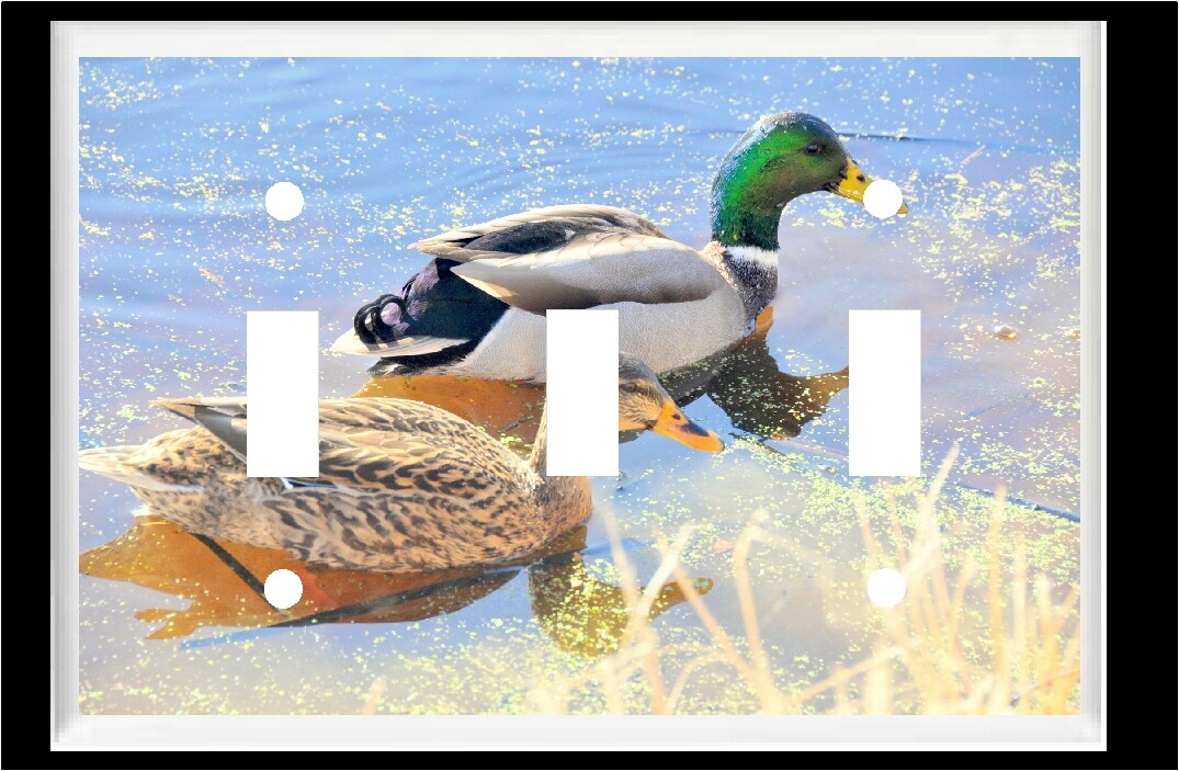 Bild 5 von 32