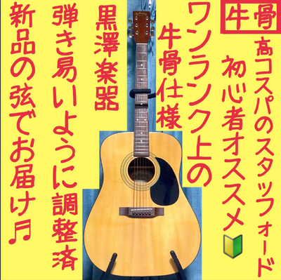 Acoustic Guitar Stafford & Co. SF-200 NAT Natural Tokyo Acoustic Guitar Stafford & Co. SF-200 NAT Natural Tokyo