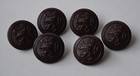 6 Antique Bulgarian  Royal Army Military Uniform Bakelite Buttons Dark Brown