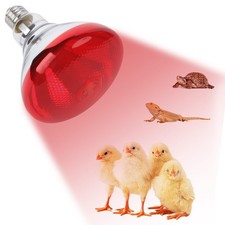250W Red Heat Lamp Bulbs for Chicken,Infrared Flood Light Heat Lamp Bulb, Inc...
