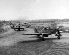 North American P-51 Mustang Iwo Jima World War II WWII WW2 8x10 Photo 496c