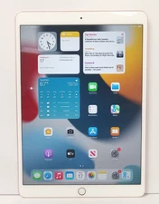 Apple iPad Pro 10.5" 1st Gen A1709 (256GB, Rose Gold, Unlocked) - Nice Shape!