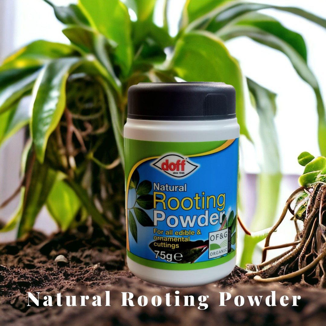 Doff Natural Rooting Powder 75g Rooting Hormone for Plant Cuttings HealthyGrowth