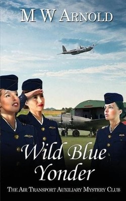 M W Arnold Wild Blue Yonder (Taschenbuch) Broken Wings