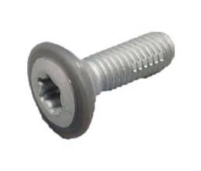 Vis De Butée De Porte Lexus LS430 2003-2006 - Paire De 2 Vis Torx - Occasion Bon état