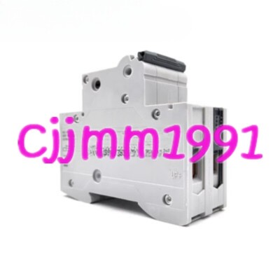 1PC NEW   mini circuit breaker 5SL6250-7CC 2P C50  #E7