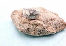 Vintage White Pearl Sterling Silver Mother of Pearl Inlay Dome Ring Size 6.5