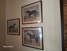 QUADRI AD OLIO, PITTURA, STAMPE, RICAMATI A MANO, ARAZZO, VARIE DIMENSIONI.