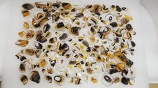 Polished Broken Art Glass Pieces  Browns  1lb 12oz PG683-11