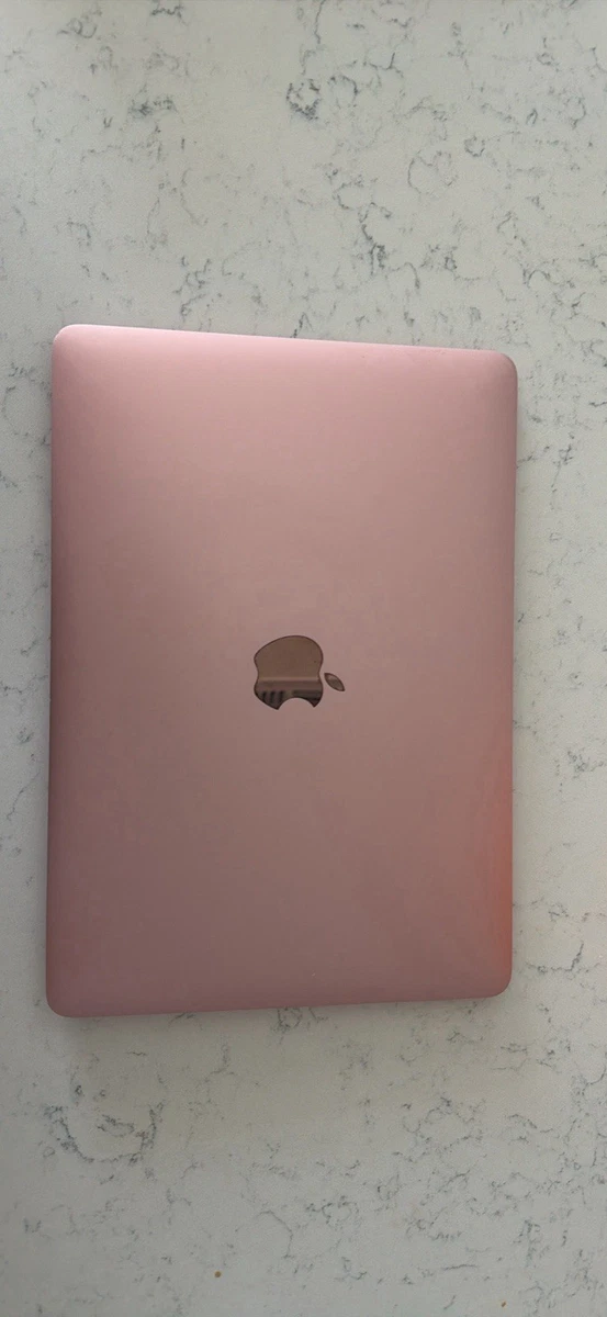 Apple Pink 12-12.9 in Screen for sale | eBay