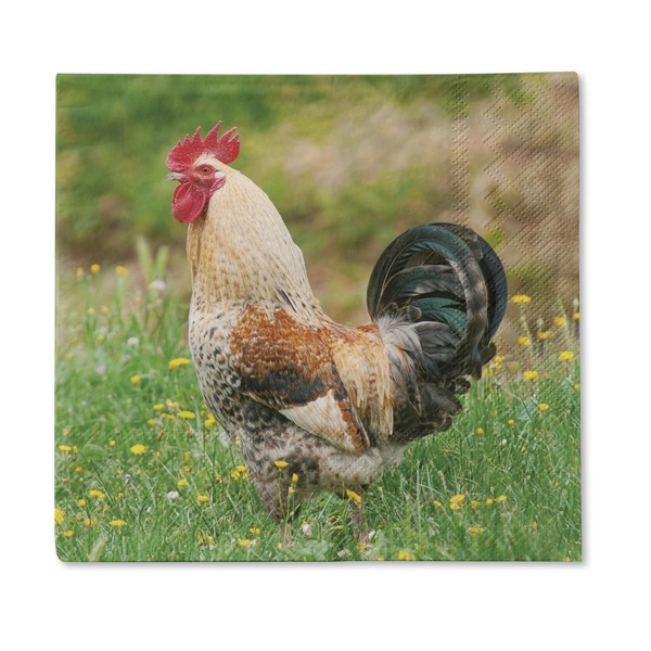 Traumduft 20 StüCk Servietten 3-Lagig Hahn Giovanni 33X33 Cm Dekor Papierserviet-image