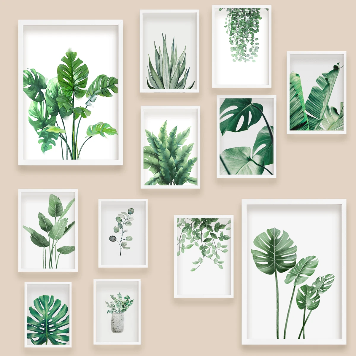 Live Plant Wall Art: Sắc Màu Thiên Nhiên Trên Tường Sống Động