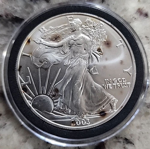 2003 American Silver Eagle Uncirculated 1oz .999 Fine Silver (P-8)