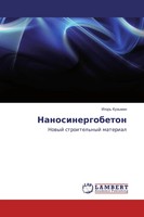 Igor' Kuz'min | Nanosinergobeton | Taschenbuch | Russisch (2018)