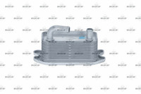 ÖLküHler MotoröL FüR Volvo C30 C70 II Cabriolet S40 S60 S80 V50 V70 III XC60 I