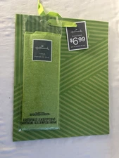 Hallmark Large Gift Bag with Tissue - Green Striped Pattern