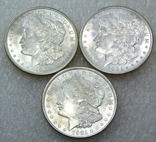 1921 P D S Morgan Silver Dollar UNC Frosty White lot of 3 coins in saflips #A265