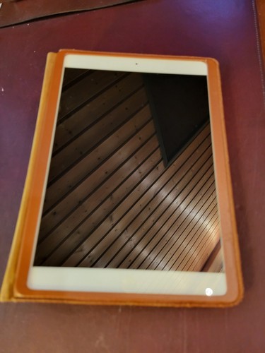 Apple ipad Air A1475 Wifi + cellulare - Foto 2 di 2