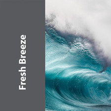 Pro-Grade Multi-Purpose Probiotic Enzyme Cleaner - Pet Stain and Odor Remover...