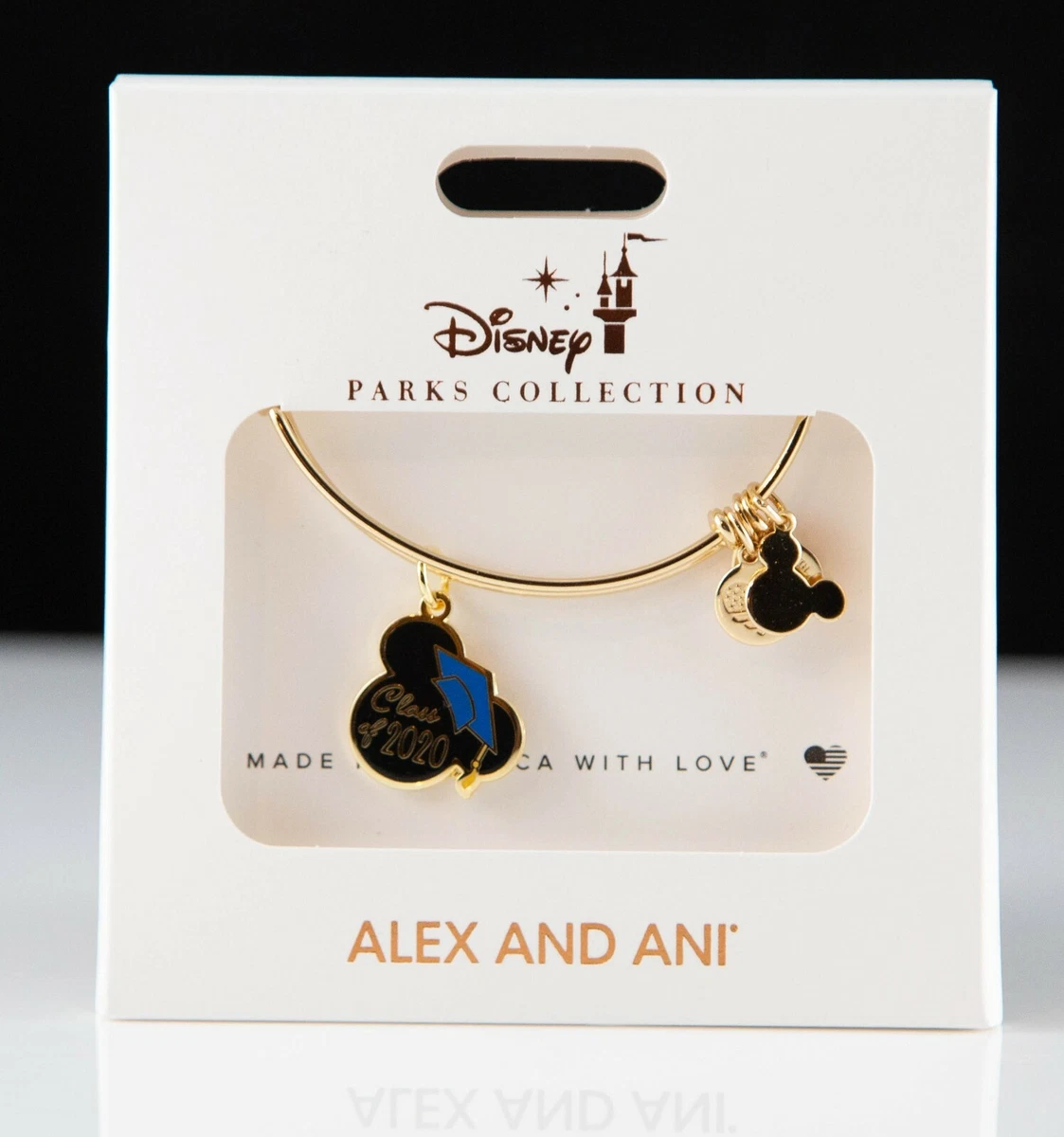 Alex and on sale ani disney 2020