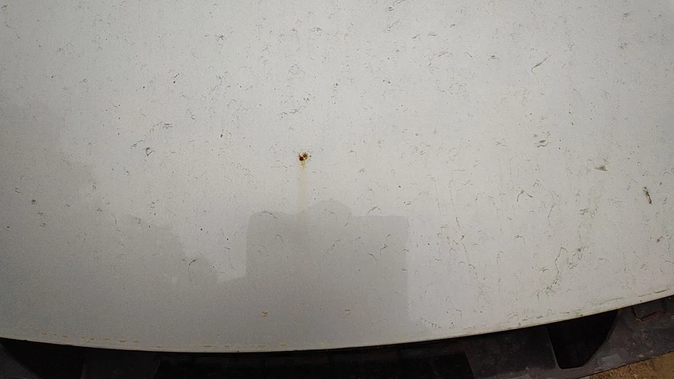 13 HYUNDAI ELANTRA Hood (No Shipping) Foto 2 de 4