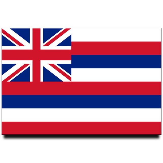 Hawaii state flag fridge Oahu travel souvenir Honolulu Maui